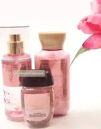Show details for Bath Body works CHAMPAGNE TOAST Mini Gift Set Mist, Lotion, Hand cleaner Picture of Bath Body works CHAMPAGNE TOAST Mini Gift Set Mist, Lotion, Hand cleaner