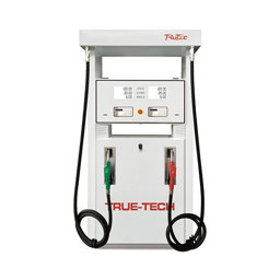 Show details for Chinese Pumps Picture of Chinese Pumps