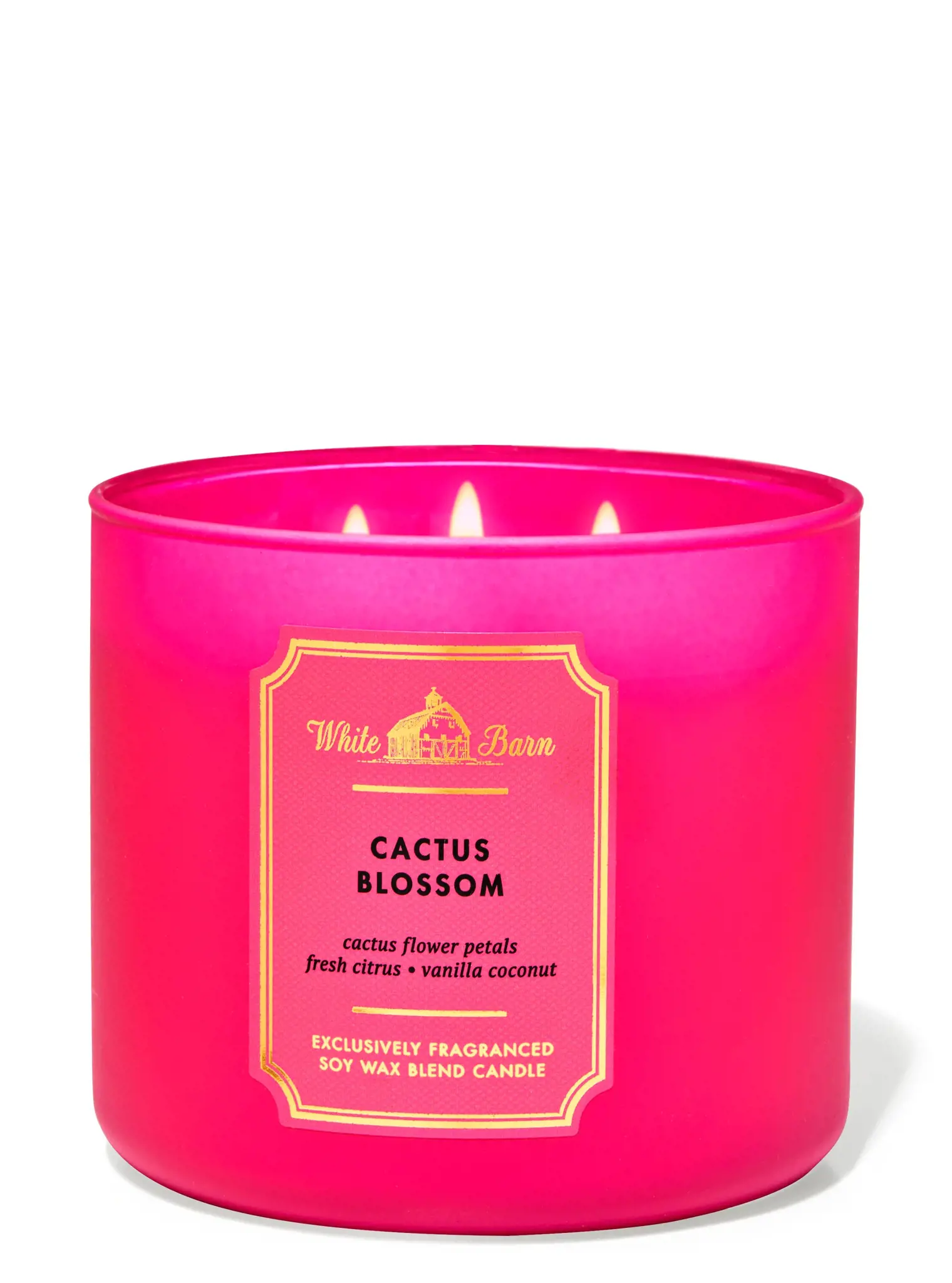 Picture of Bath & Body Works Cactus Blossom 3-Wick Candle