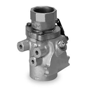 Picture of Female Safety Valve