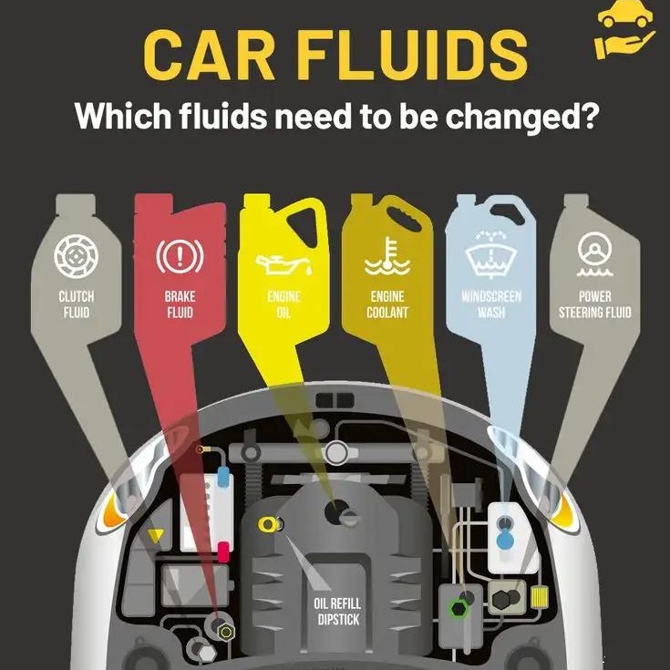 Picture for category Automotive Fluids