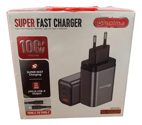Picture of Charger 100WT 